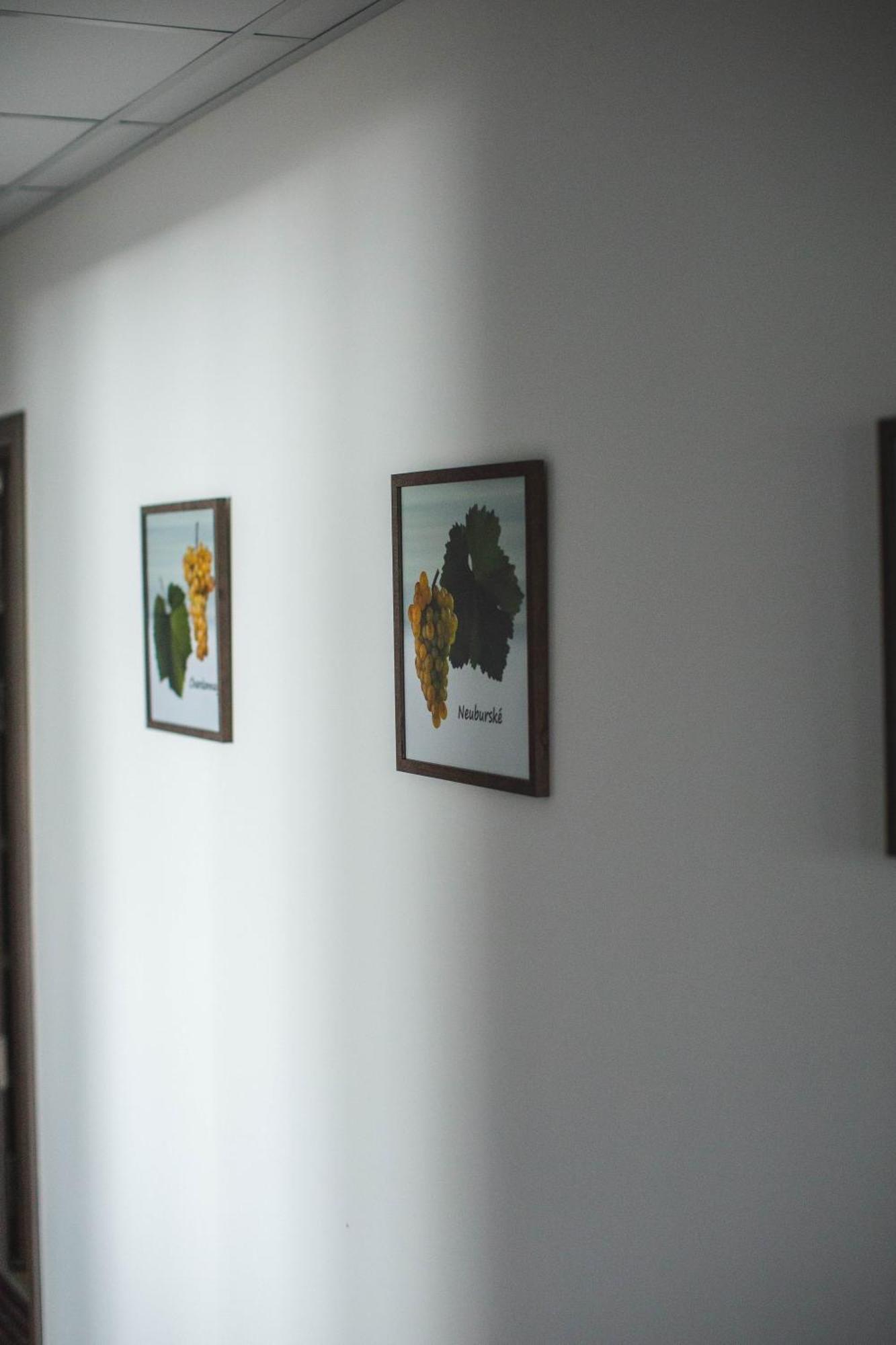 Apartmany Pemag Mikulov Εξωτερικό φωτογραφία